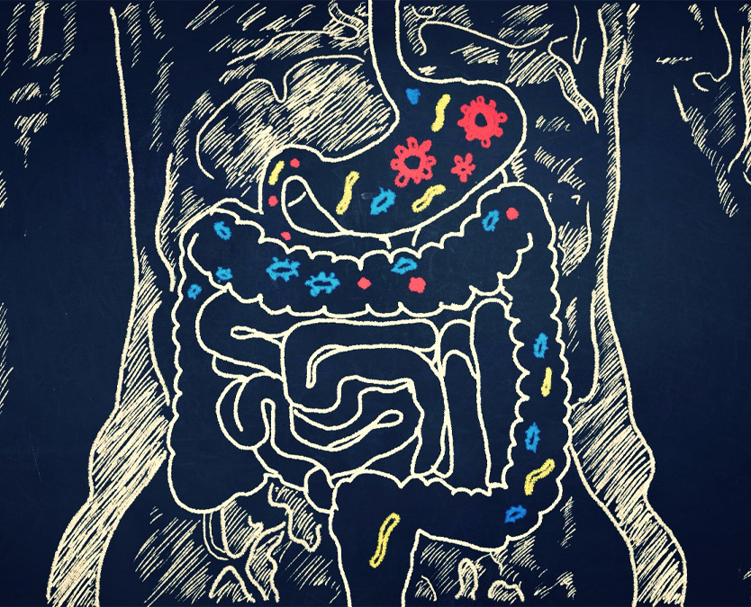 Healthy Gut Microbiota for living healthy life